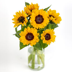Sonnenblumen­strauß
