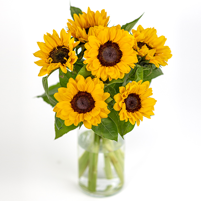 Sonnenblumen­strauß