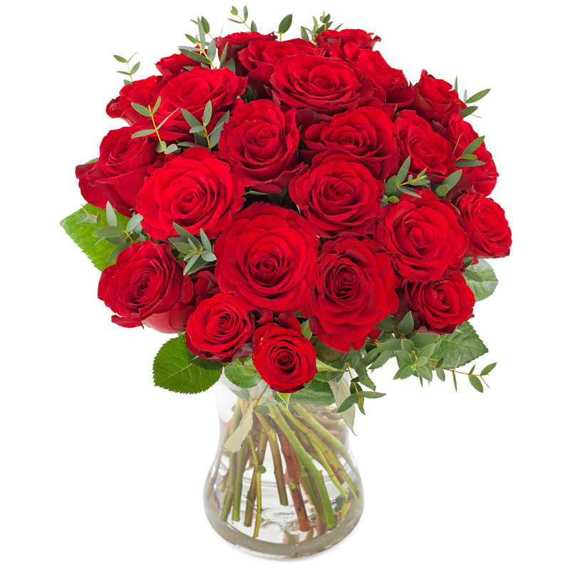 Rote Rosen