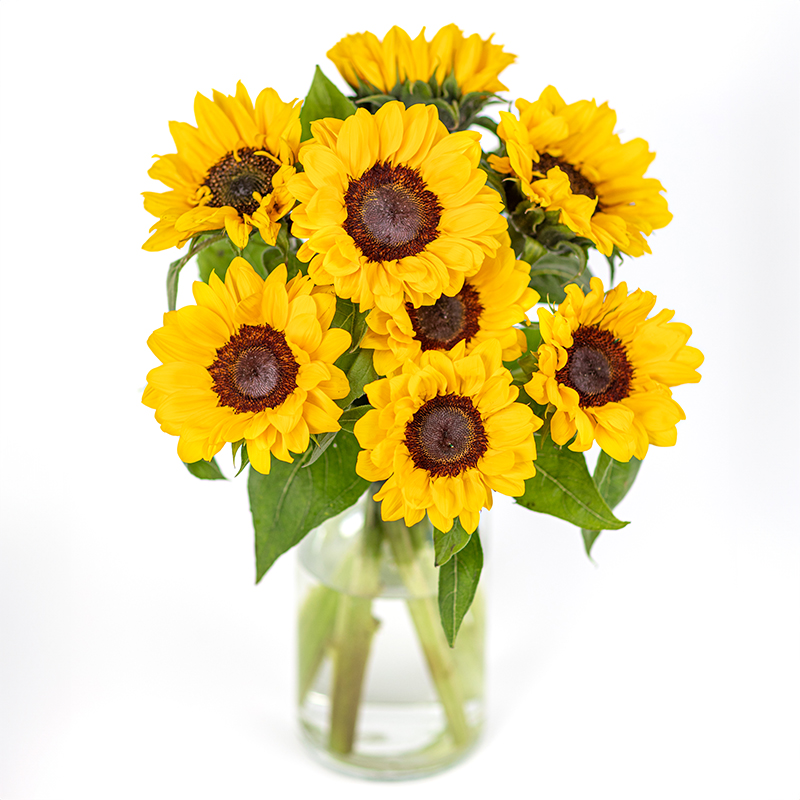 Sonnenblumen­strauß
