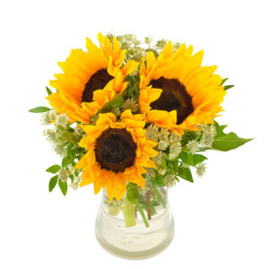 Sonnige Sonnenblumen
