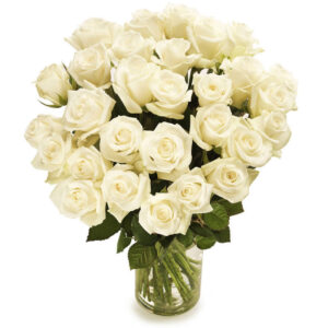 Luxuriöse weiße Rosen