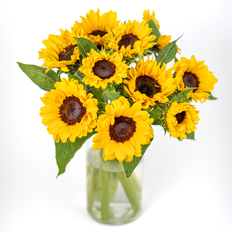 Sonnenblumen­strauß