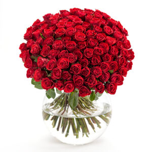 100 rote Rosen