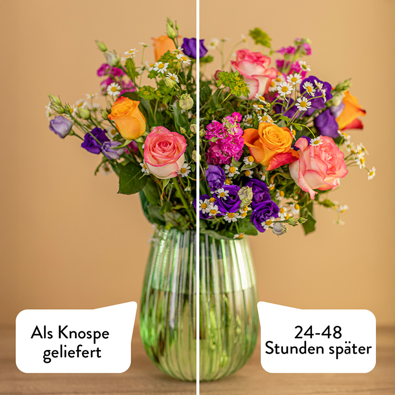 Blumengarten – Bild 5