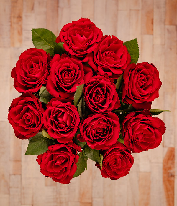 Rote Rosen – Bild 3