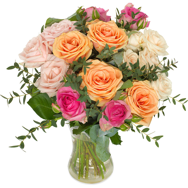 Umwerfende Rosen