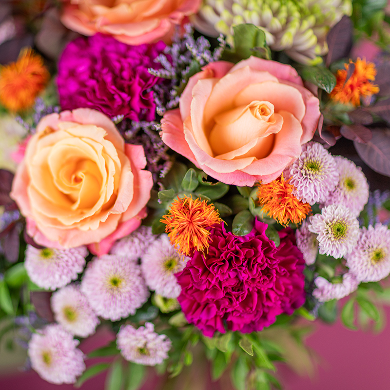 Bunte Blumenfreude – Bild 3