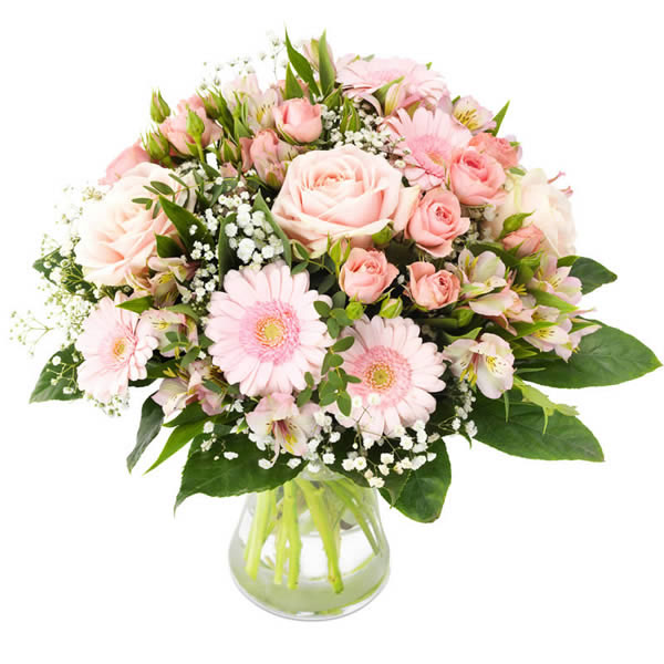 Rosa Perfektion