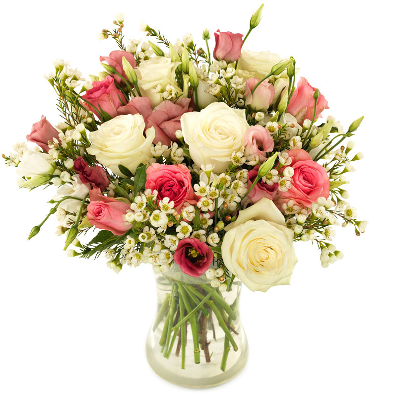 Weiße & Rosa Rosen