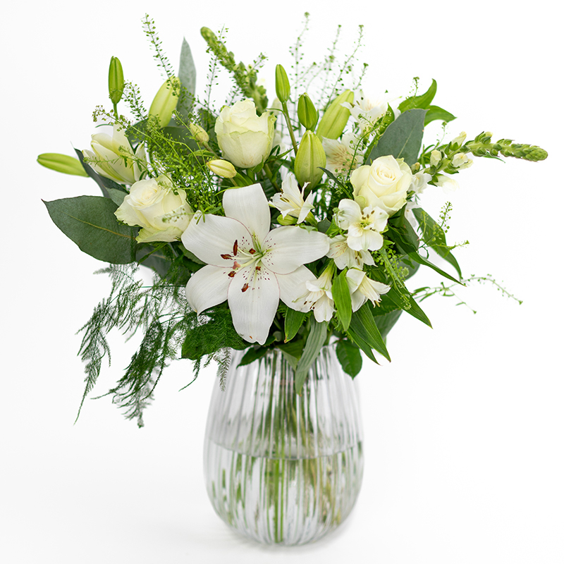 Weiße Wiesenblumen