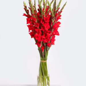 Flammendes Feuer