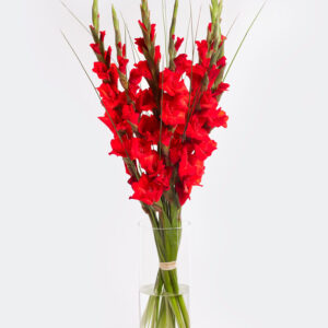 Flammendes Feuer