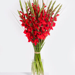 Flammendes Feuer
