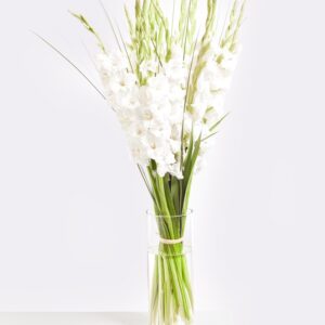White Summer