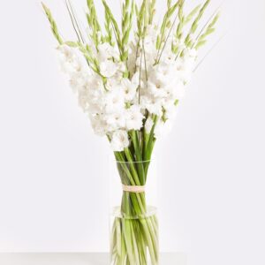 White Summer