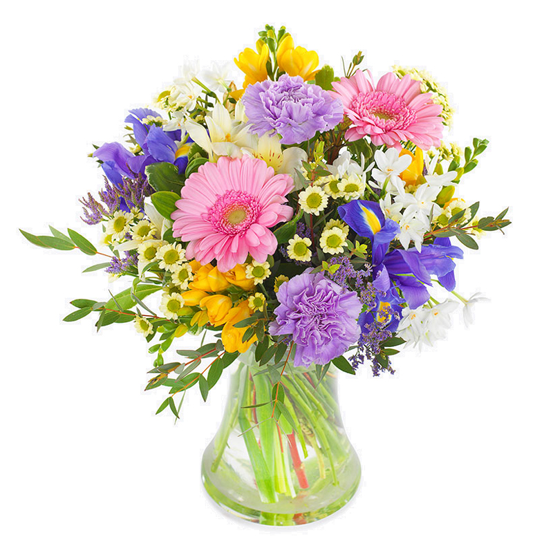 Florale Schönheit