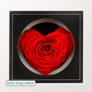 Ewige Rose in Herzform