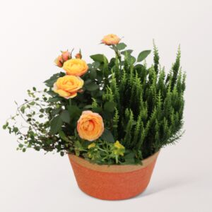 Herbstromanze im Körbchen