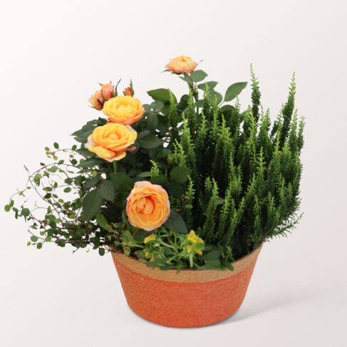Herbstromanze im Körbchen
