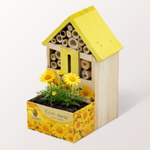 Insektenhotel mit Bartnelke