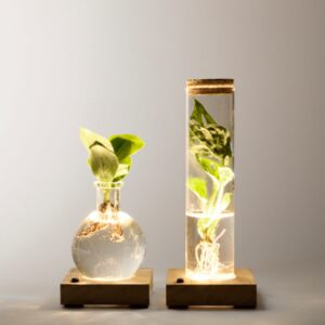 2er-Set Waterplants mit LED-Lichtern 2er-Set Waterplants mit LED-Lichtern