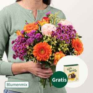 Blumenmix Feuerwerk Blumenmix Feuerwerk