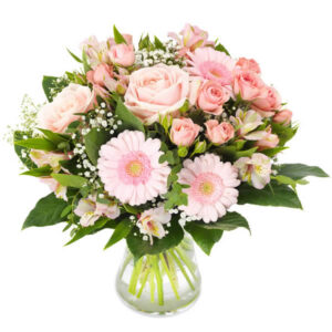 Rosa Perfektion