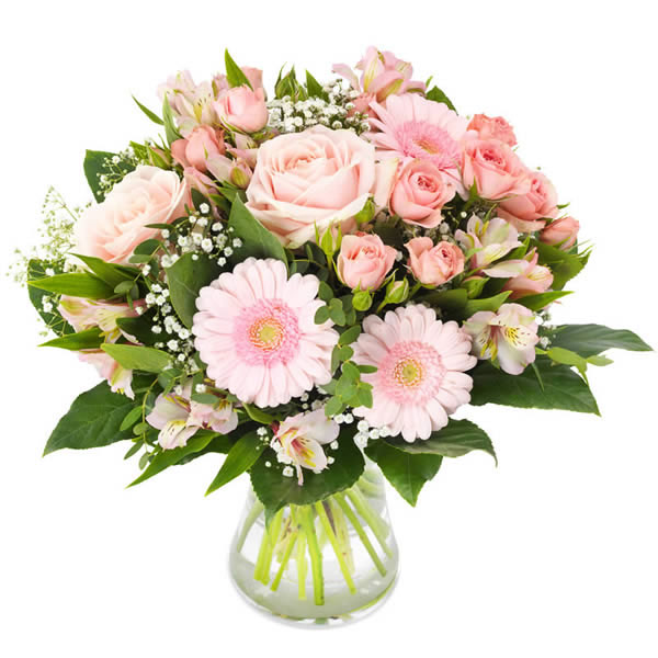 Rosa Perfektion