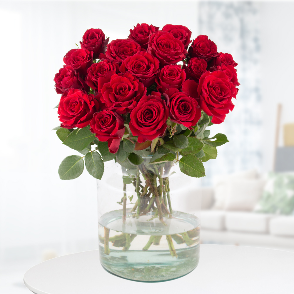 20 Rote Rosen (40cm)