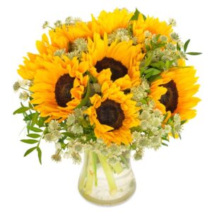 Sonnige Sonnenblumen