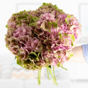 Hortensien Blumenstrauß in Rosa-Grün Hortensien Blumenstrauß in Rosa-Grün