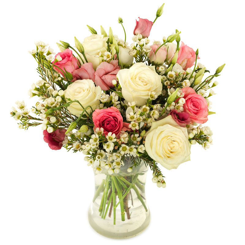 Weiße & Rosa Rosen