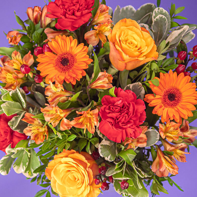 Indian Summer – Bild 5