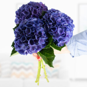 Blauer Hortensien Blumenstrauß