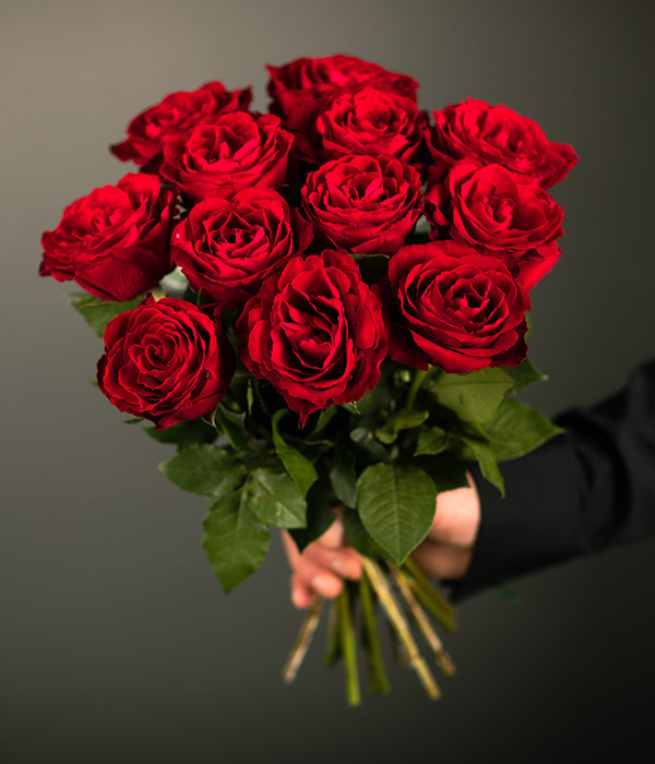 Rote Rosen – Bild 2