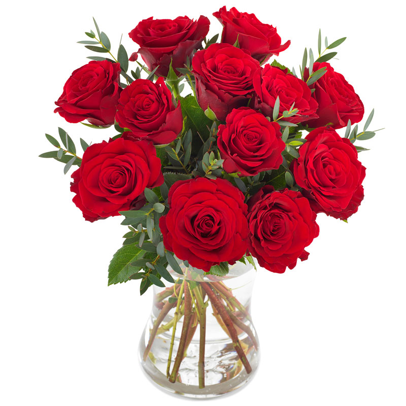 Rote Rosen