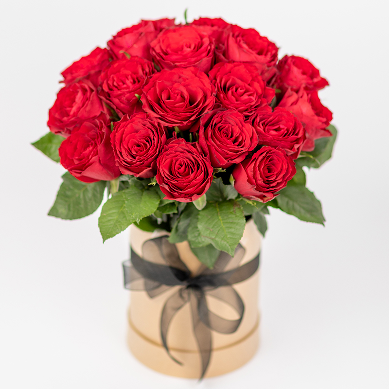 Luxusrosen in Hutbox