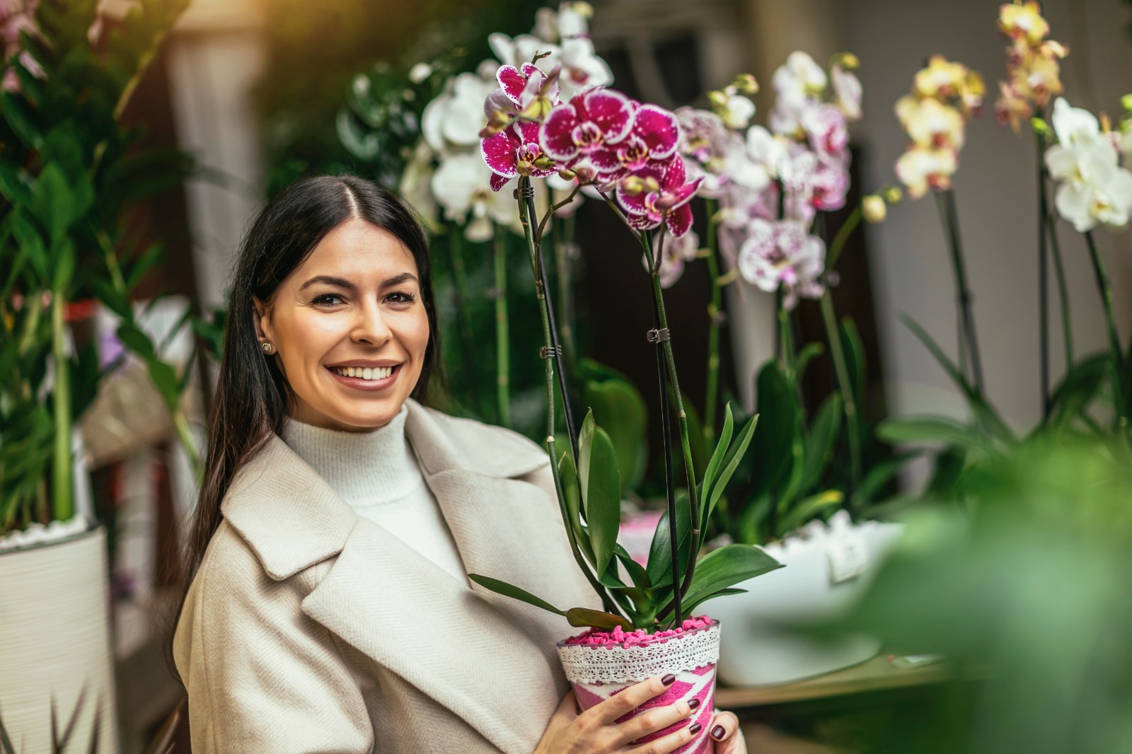 Frische Schnittblumen in Vasen