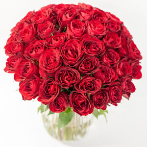 50 Rote Rosen 50 Rote Rosen