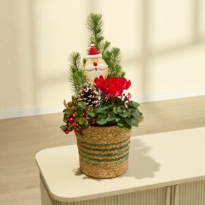 Dear Santa