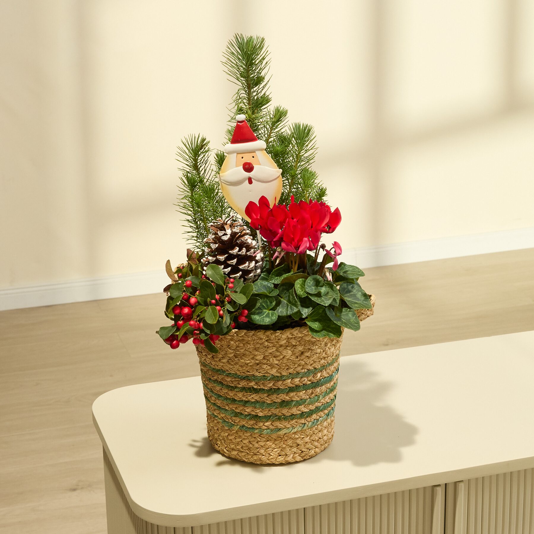 Dear Santa