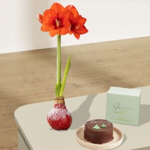 Winterbote mit winterlicher Sachertorte 200g