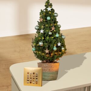 Kleiner Weihnachtsbaum Prachtvoll mit Lindt Mini Pralinés Gold 100g