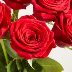 Rote Rosen ‚Red Eagle‘