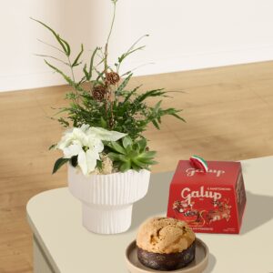 Skandi Xmas mit Mini-Panettone 100g