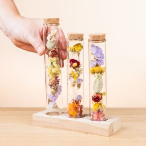 Trockenblumen im Set Little Wish Trockenblumen im Set Little Wish