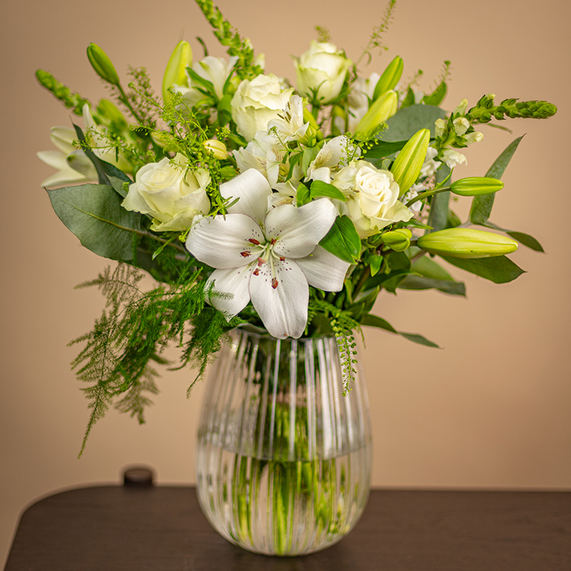 Weiße Wiesenblumen – Bild 3
