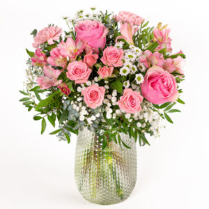 Rosa Rosengarten Rosa Rosengarten
