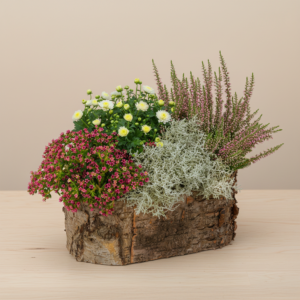 Rosa Herbstarrangement